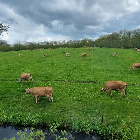 B&B In De Roos Noordbergum Kültér fotó