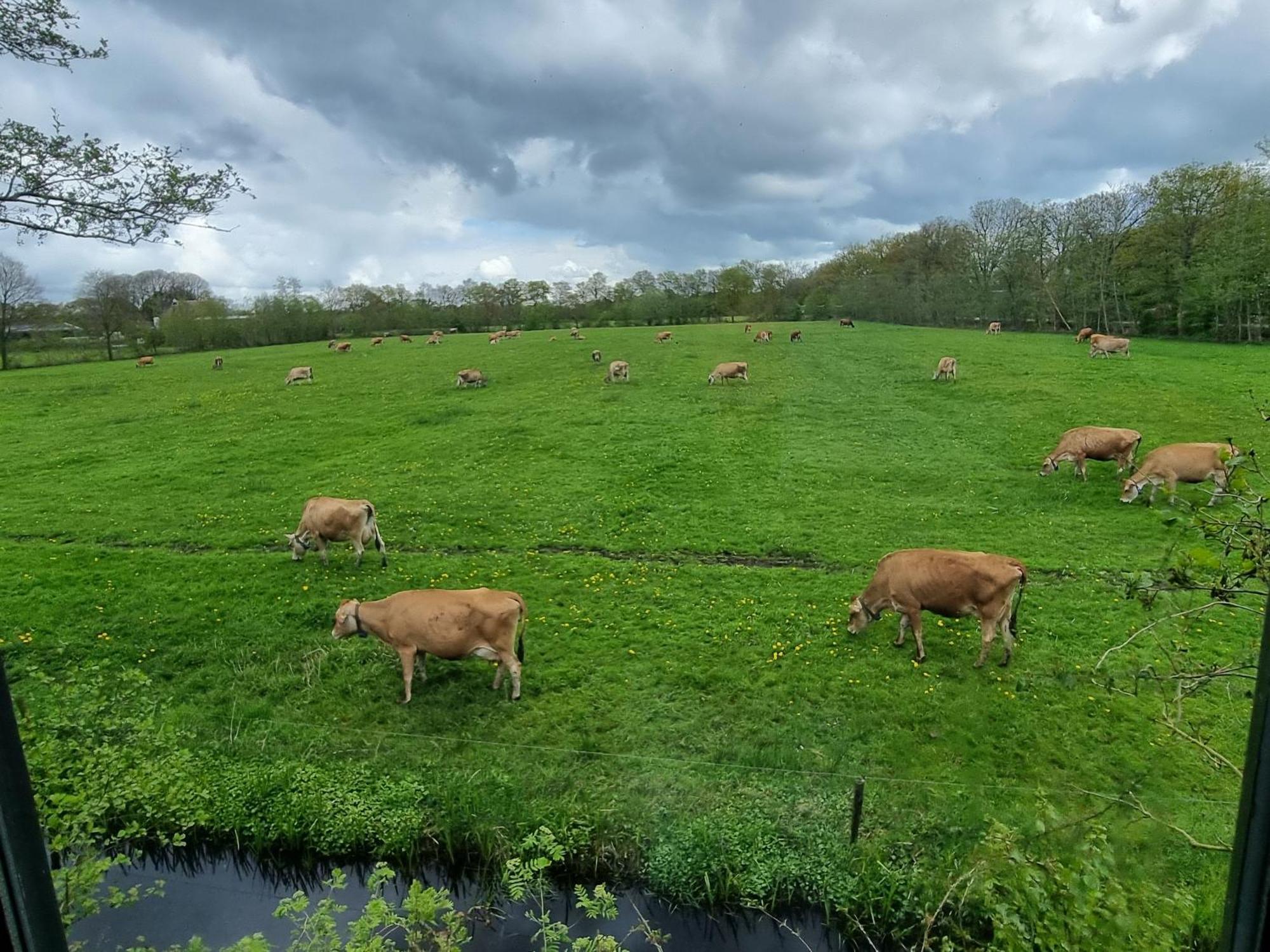 B&B In De Roos Noordbergum Kültér fotó